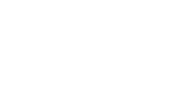 King Flow logo horizontal